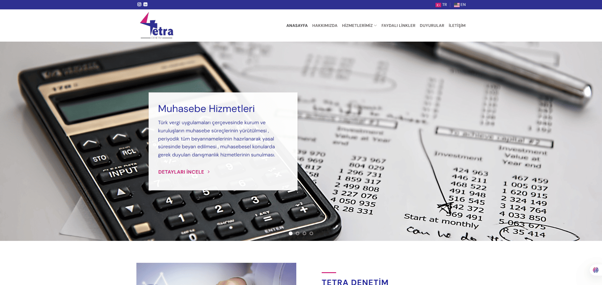 Tetra Denetim Web Sitesi Görseli